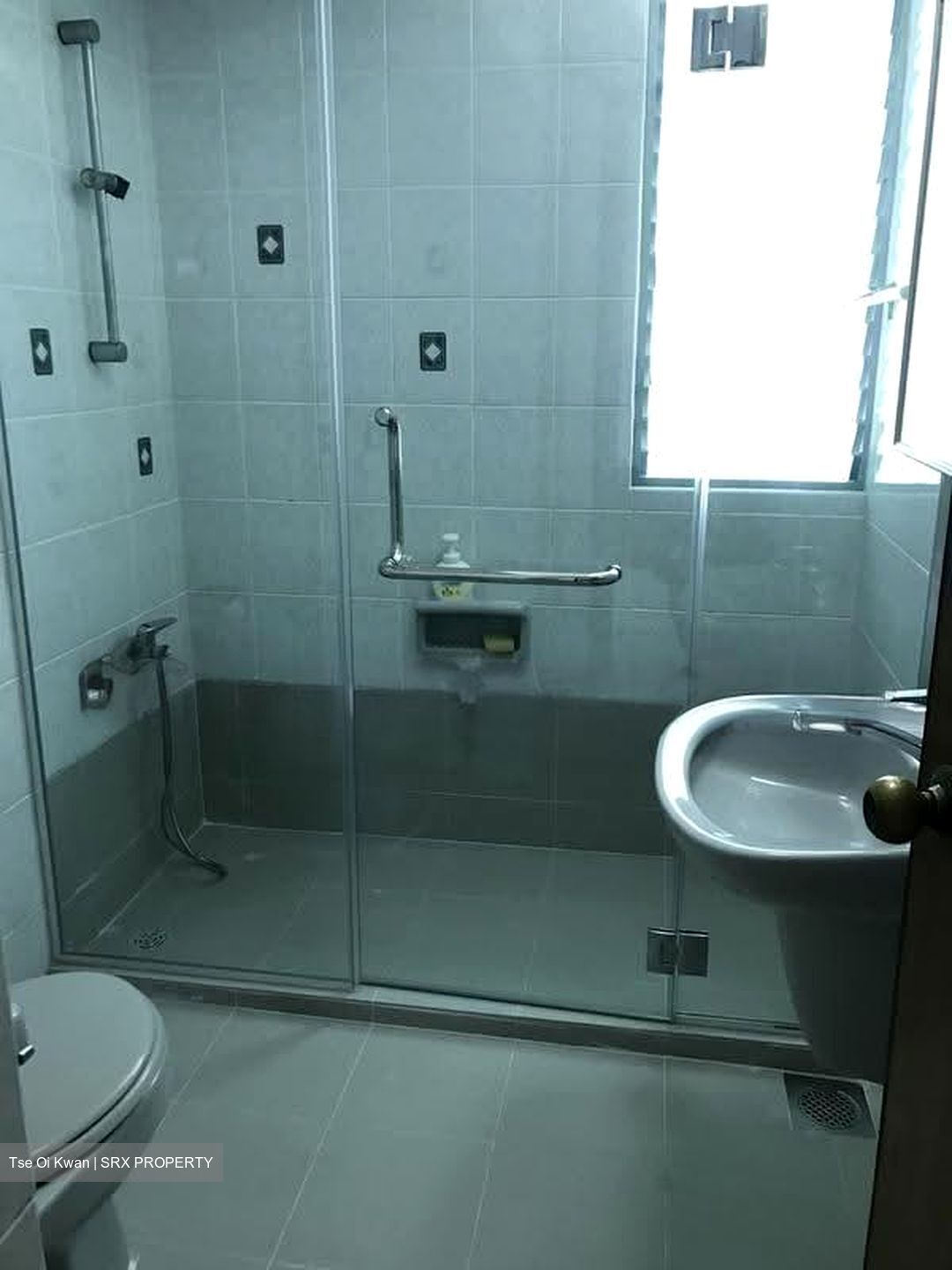 Astor Green (D21), Condominium #632449711